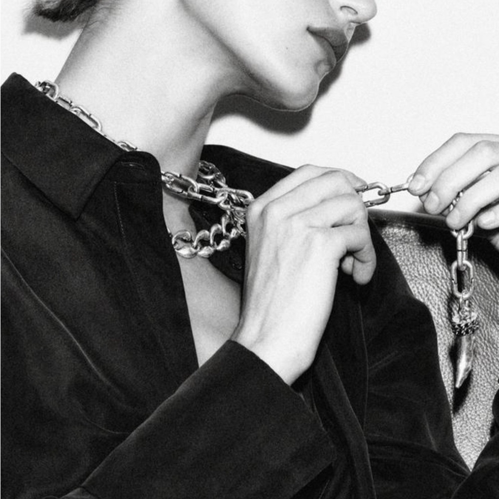 Zara Brand New 2-pack Metal Necklace with Horn